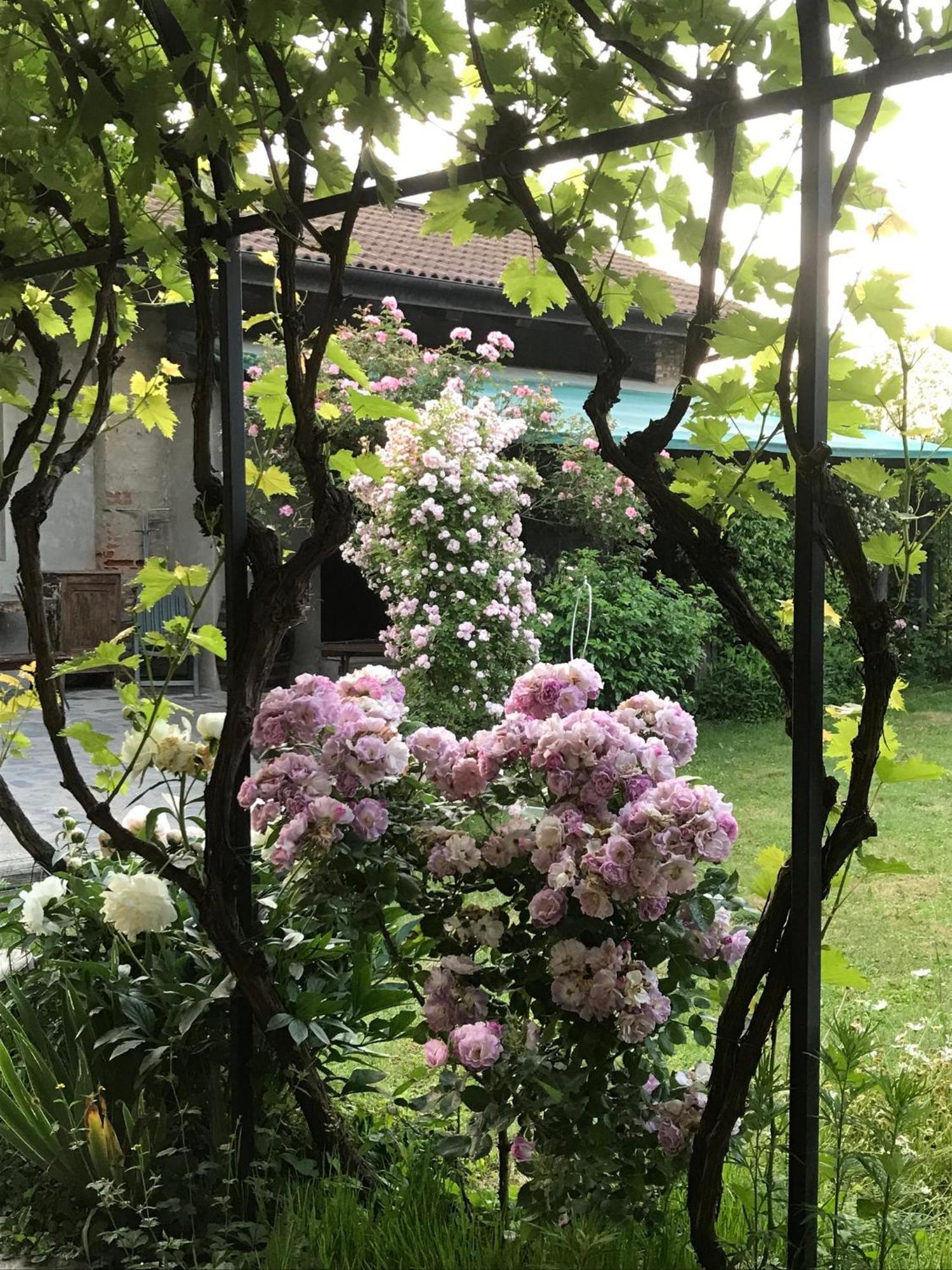 B&B Cascina Marie Bricherasio Exterior foto